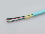 12 Core Indoor Breakout Fiber Optic Cable with 2.0mm Cable