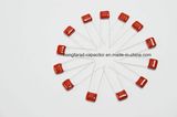 Cbb21 Mpp Metallized Polypropylene Film Capacitor 473j400V