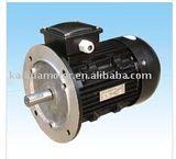 Ms Series Three-Phase Vertical Mount Induction Motor