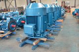 High Power Permanent Magnet Motor for Sale