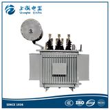 3 Phase 33kv 5000kVA Oil Immersed Power Transformer
