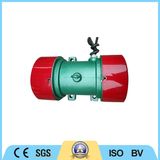 AC 4 Poles Vertical Asynchronous Electric Vibration Motor