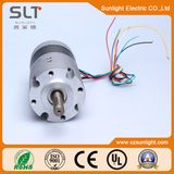 315V Brushless Motor Apply for Home Application