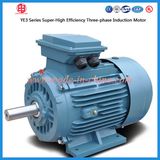 AC Induction Electric Motor 220 V for Compressor