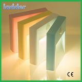 Smart LED Infrared Sensor Light with Ce