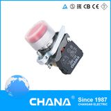 Protruding Button Cover IP65 Pushbutton Switch