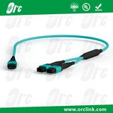 8f/12f/24f MPO/MTP Patchcord Jumper Optical Fiber Connector Om3 Ofnp 3 Meters
