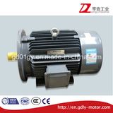 Beide Low Voltage Three Phase Induction Motor
