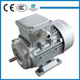 YS Micro Three Phase AC Motor