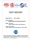 Ie2 Ye2 Saso Ie2 Testing Report Three Phase Electric Motor