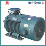 Y2vp Series Three Phase Asynchronous Converter Motor