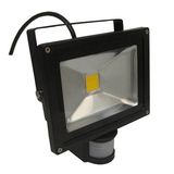 20W IP65 85-265V IR Controller PIR LED Floodlight