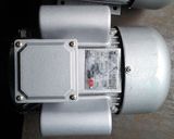 Gear Motor
