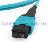 32f MPO-MPO Om3 Male Patchcord Jumper Optical Fiber Connector