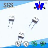 Rgc Ceramic Encased Power Resistor with ISO9001