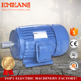 Y Series Three Phase Induction AC Outboard Electric Motors