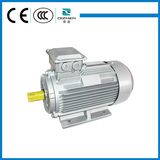 IE2 Three Phase Asynchronous Small AC Induction Fan Motor