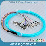 12 Core FC/Upc Multimode Bunch Optical Fiber Pigtail