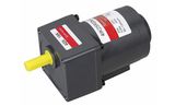80 25W Speed Control Motor AC Motor Gear Motor
