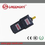 Gsbld60s Brushless Motor BLDC Motor