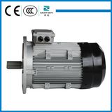 B5 MS Series Induction Motor with Aluminium Body