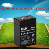 Battery Reconditioning Lead Acid Battery Maintenance 6V