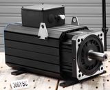 AC Permanent Magnet Servo Motor (300ysc17f 315nm 1700rpm)