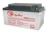 AGM Battery for Railway Signal 12V65ah