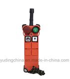 Wireless Remote Control Unit, Industrial Radio Remote Control F21-2D