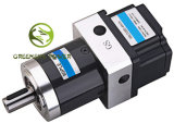 Small Electric Pm DC Motor with Driver