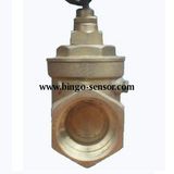 Paddle Type Flow Switch in Sizes G1/2''