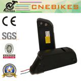 CE Certifications 48V 11.6ah Panasonic Battery