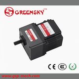 GS 200W 90mm Brushless DC Motor with High Efficiency