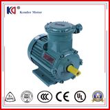 Asynchronous Induction Ex-Proof Electric (Electrical) Motor with 50Hz Frequency