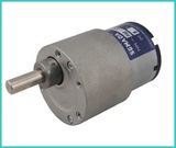 DC Electric Motor