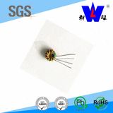 Toroidal Choke Coil Power Inductor for Inverter