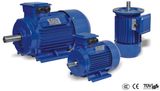 5.5kw Y2 Series Three Phase Induction Motor