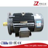 100% Copper Wire Winding Cast Iron 3 Phase Asynchronous AC Electric Motor