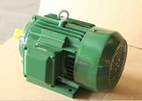 taizhou factory price CE approved Y2 series high quality copper wire winding three phase AC induction motor for fan