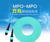 24 Cores MTP/MPO Fiber Optic Patch Cord