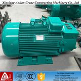 5.5kw AC 220V/380V Wound Type Rotor Induction Motor