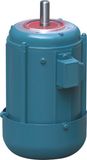 60W ~ 180W Resistance Start Single Phase Induction Motor