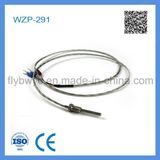 Wzp-291 PT100 Rtd with Fixed Screw