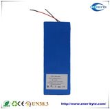 Lithium Battery Pack 48V 16ah for E-Bicycle