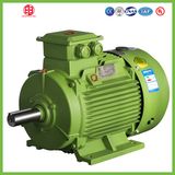 Low Voltage High Efficiency Asynchronous Motor