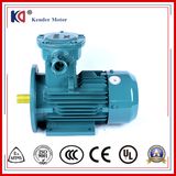 AC Asynchronous Electric Ex-Proof Motor with 380V 0.37kw