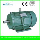 Y Series Three-Phase Asynchronous Motors / Electric Motor
