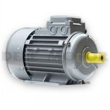 Three-Phase Asynchronous Electric Motor (Ms7124-370W-B3)