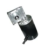 Dc Worm Gear Motor (90ZYJQ)