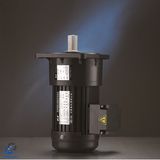 Vertical Small Single Phase Light Duty Brake Motor, AC Motor_D